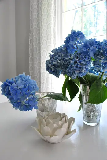 Hortensia's gordijnen