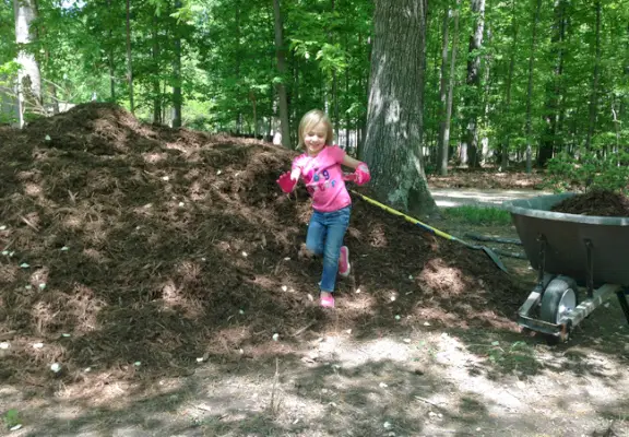Klein meisje met tuinhandschoenen spelen in groot mulchbed naast kruiwagen