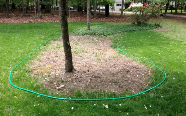 Mulchbedden rond bomen in de voortuin in de vorm van een tuinslangsjabloon
