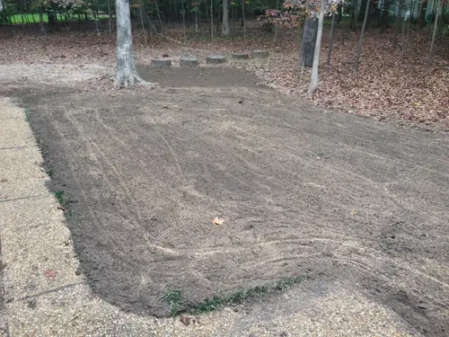 Werf terug tijdens graszaad