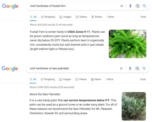 Google-zoekresultatenpagina van koude winterhardheid voor tropische planten