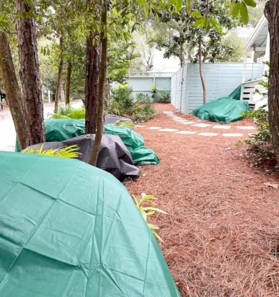 Buitenplanten bedekt met vorstdekens tijdens de bevriezing in Florida