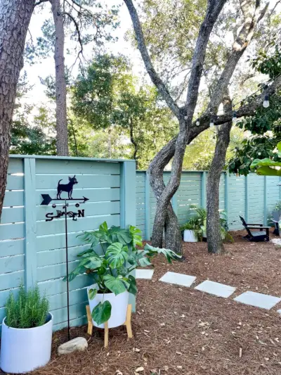 Na een foto van een vuurplaats met groene potplanten en een chihuahua-windwijzer
