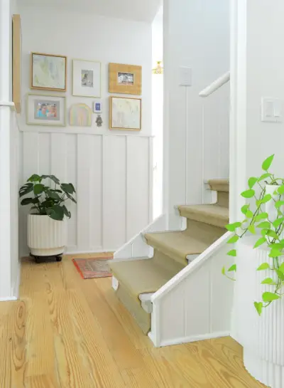 Monstera en Pothos in gang bij weinig licht