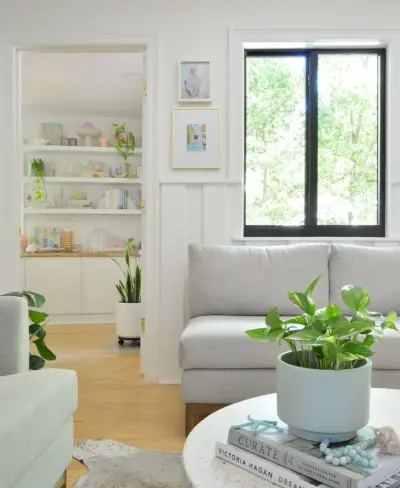 Kamerplanten in woonruimte zonder veel zonlicht Pothos Snake Plant