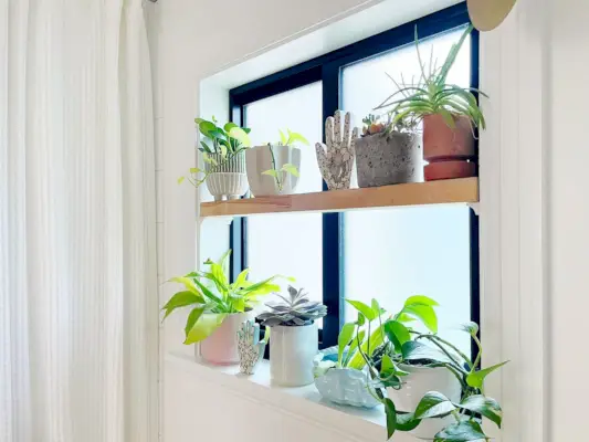 DIY-raamplank met planten in potten in de badkamer