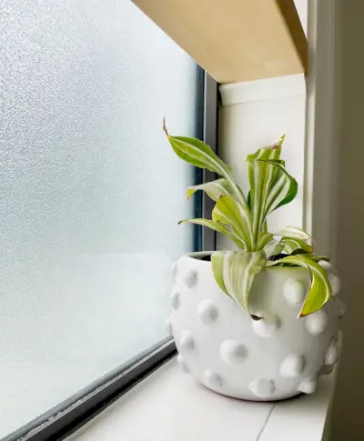 Detail van matglas in badkamerraam met planten en zwevende houten plank