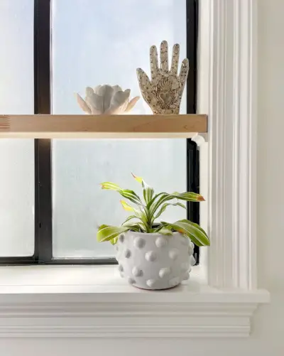 Zwevende houten plank in eenvoudige witte badkamer met planten