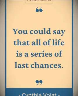 Cynthia Voigt quote