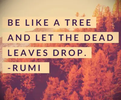 Rumi quote