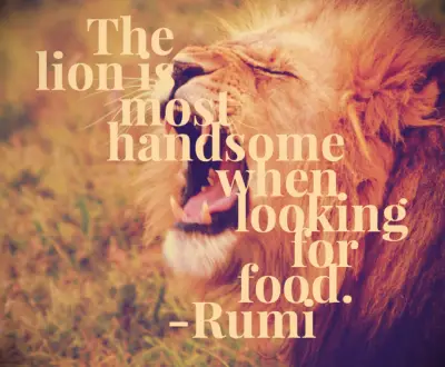 Rumi saying