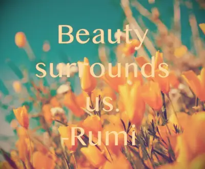 Rumi quote