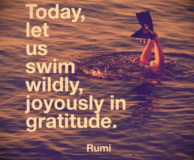 Rumi quote