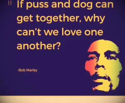 Puss and dog. —Bob Marley