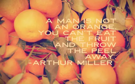 A bunch of freshly picked Florida oranges with bright orange peels and leaves