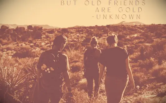Three loyal friends walking through Joshua Tree National Park in California