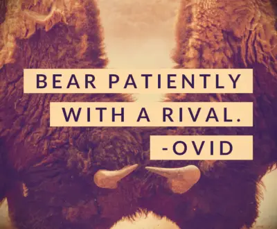 Ovid patience quote