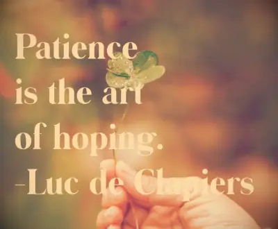 Luc de Clapiers quote