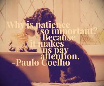 Paolo Coelho quote