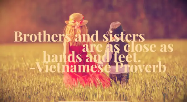 Brothers and sisters are as close as hands and feet.