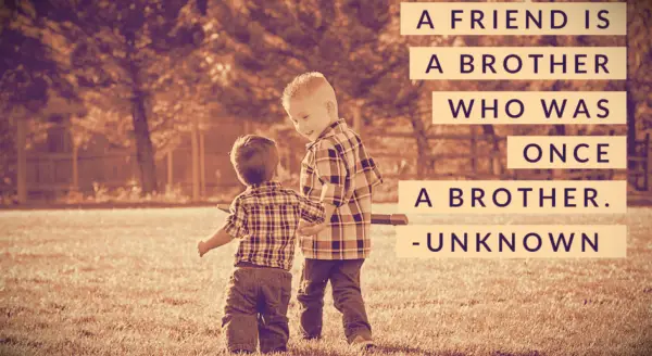 Two little boys in plaid shirts holding hands and walking across a grassy field