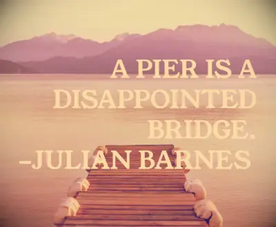 Julian Barnes disappointment quote