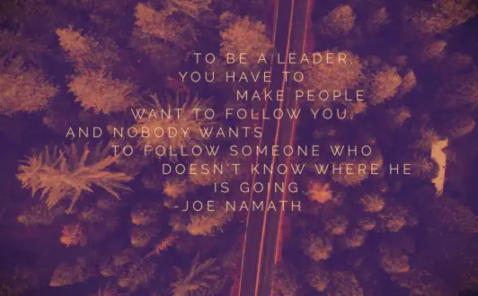 Joe Namath quote