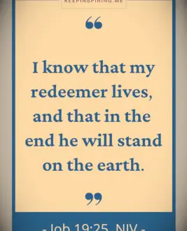 Job 19:25 Bible Verse