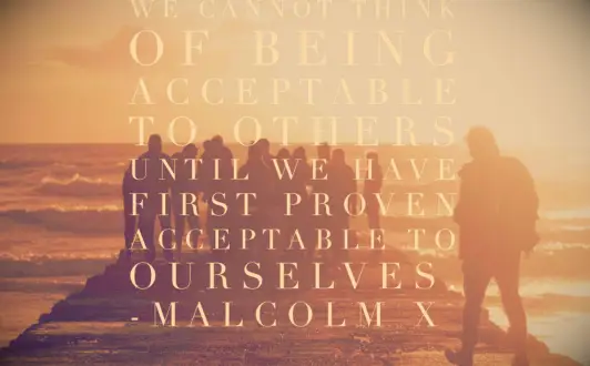Malcolm X quote