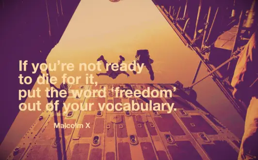 Malcolm X quote
