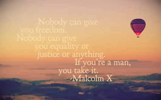 Malcolm X quote