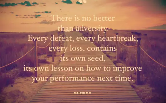 Malcolm X quote