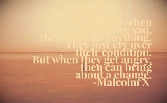 Malcolm X quote
