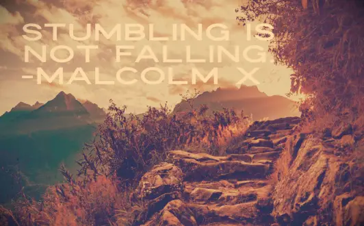 Malcolm X quote