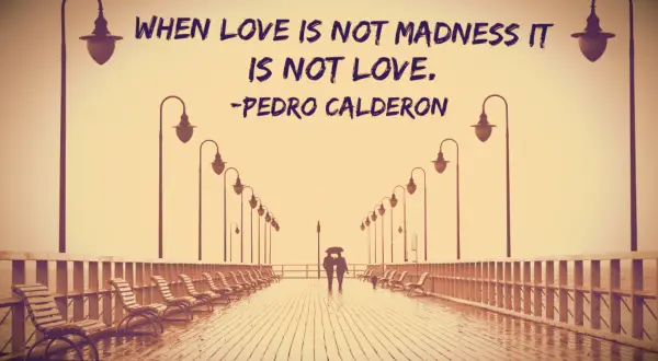 Pedro Calderon Quote When love is not madness it is not love
