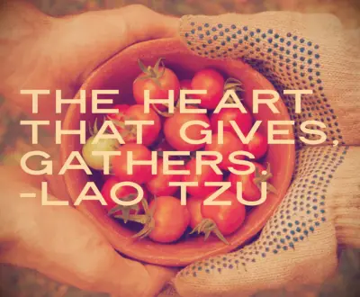 Laozi quote