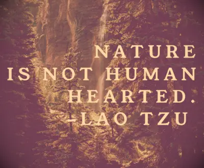 Laozi quote