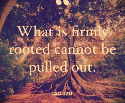 Lao Tzu quote