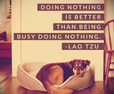 Lao Tzu quote