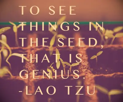 Lao Tzu quote