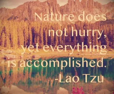 Lao Tzu quote