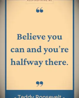 Teddy Roosevelt quote