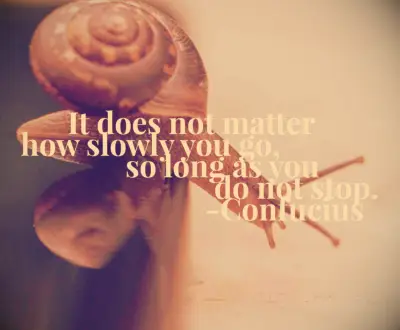 Confucius quote