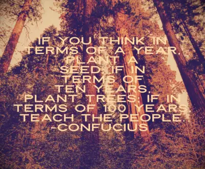 Confucius quote