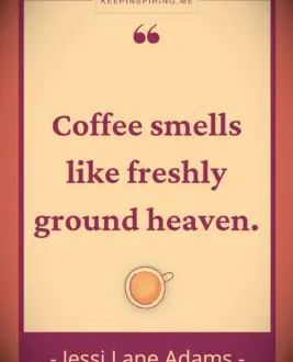 Jessi Adams quote