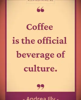 Andrea Illy quote