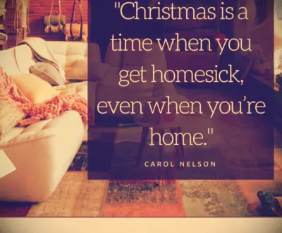 Carol Nelson funny Christmas quote