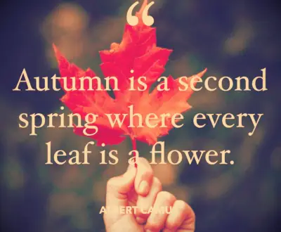 Albert Camus fall quote
