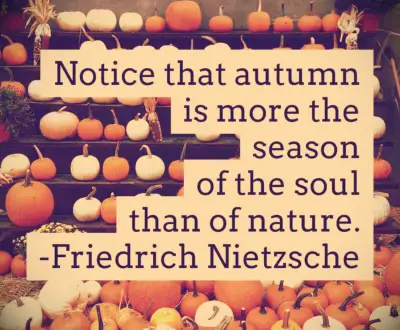 Nietzsche fall quote