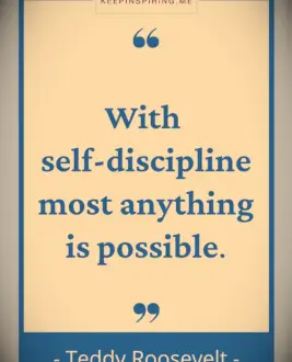 Teddy Roosevelt quote